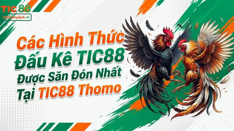 Các Hình Thức Đấu Kê TIC88 Được Săn Đón Nhất Tại TIC88 Thomo