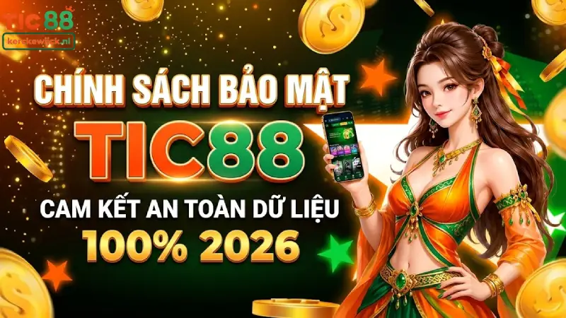 Chính Sách Bảo Mật TIC88 - Cam Kết An Toàn Dữ Liệu 100% 2026