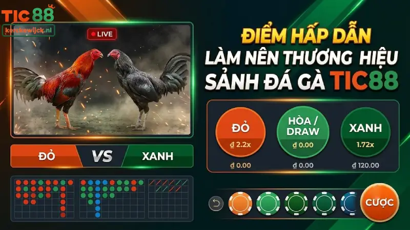 Điểm Hấp Dẫn Làm Nên Thương Hiệu Sảnh Đá Gà TIC88